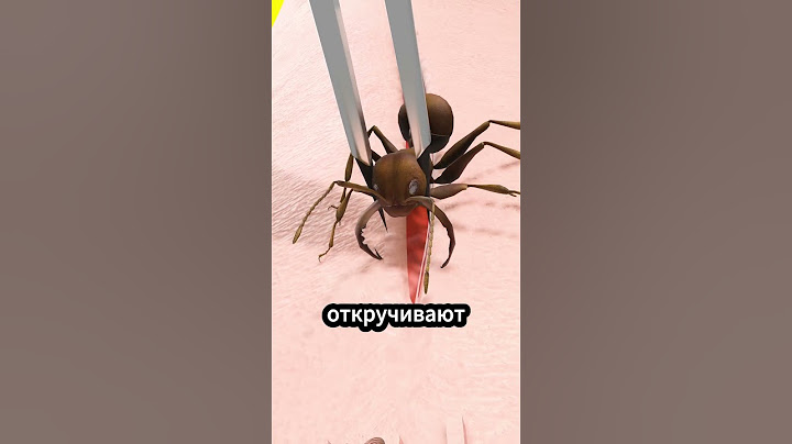 Использование муравьев для зашивания ран 🐜 #факты