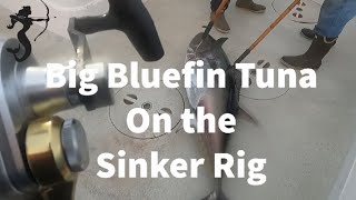 Bluefin Tuna on the sinker rig.  Start to finish.