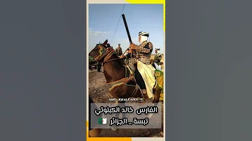 عشاق الفروسية الكاف ركروكي تبسي Horse 