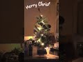 Merry Christmas to all our viewers and customers!