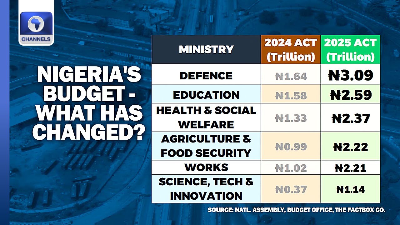 Analysis: How Tinubu's 2025 Budget Will Impact Ordinary Nigerians - Ogunsanwo