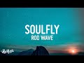 Rod Wave - SoulFly (Lyrics)