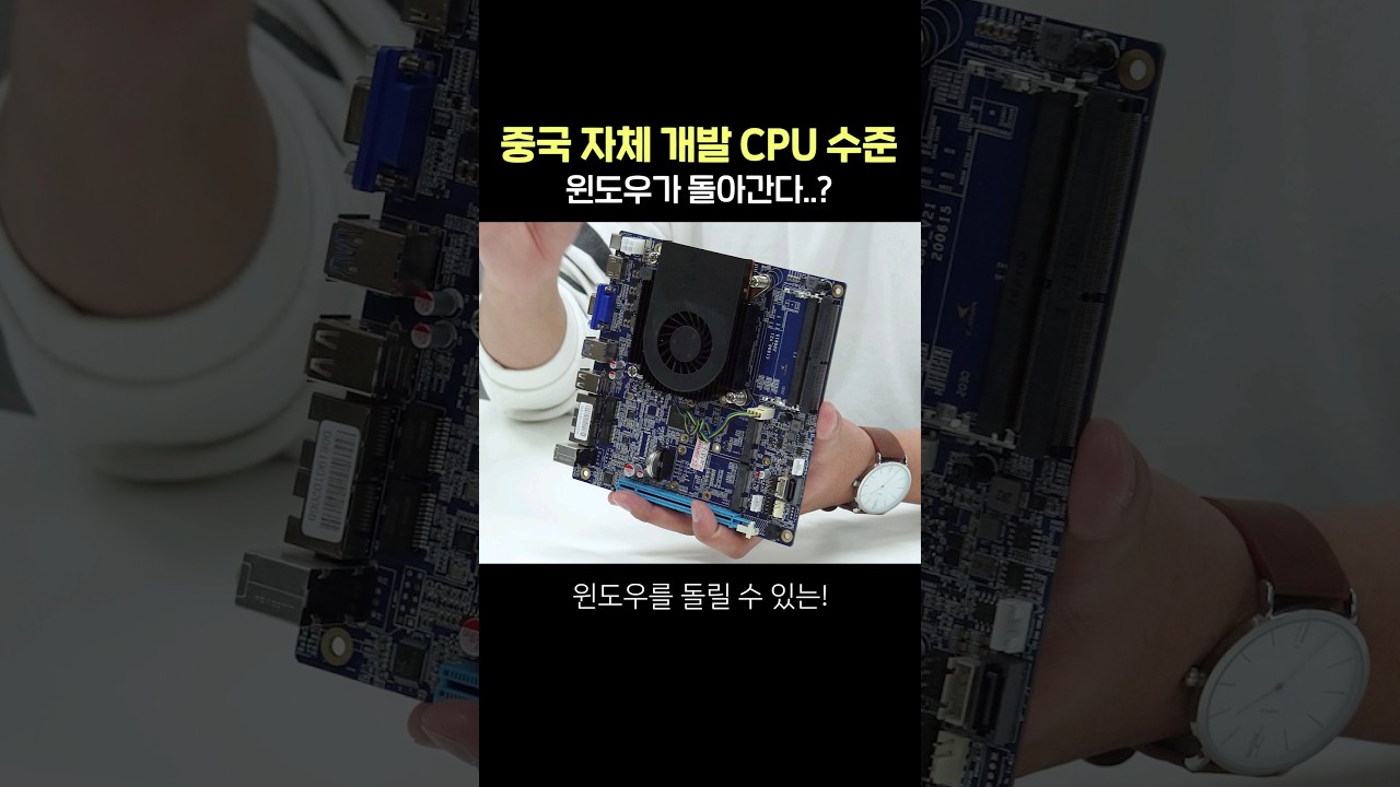 중국 '자체 개발' CPU 수준