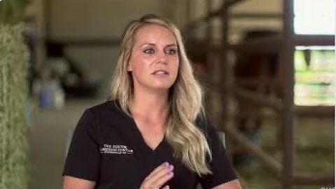 Dr. Jessica Huntington - The Equine Lameness Cente...