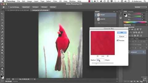 153 Adobe Photoshop CS6 Full Tutorial Working With The History Brush And Snapshots