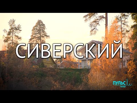 Путешествие за вдохновением. Сиверский