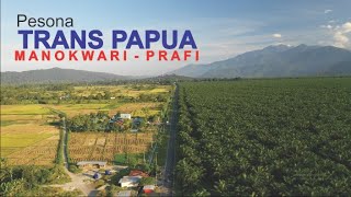 Pesona Jalan Trans Papua Manokwari -Prafi di Papua Barat, Jalan Mulus sepanjang Hutan Kelapa Sawit