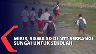 Tak Ada Jembatan, Puluhan Siswa SD di NTT Sebrangi Sungai Demi Pergi Sekolah