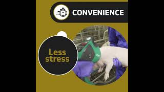 The Convenience of Up to 4 at once with The IDAL Way!