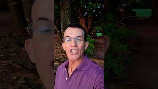 Final do dia na roça , os caipiras do MS ##vivendonaroça#paisagemnatural#ms