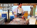 Bubblelip snapper  how to perfectly clean and fillet this exotic catch