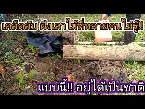 วีดีโอ: 3 วิธีป้องกันเสาไม้ไม่ให้เน่าบนพื้นดิน