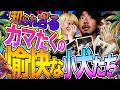 小犬たちとバカンスを楽しんだカマたくからのご報告!相次ぐトラブルに大爆笑!! #498