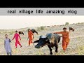 Daily routine vlog l daily routine life l rural village 