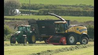 Raking and Lifting on Anglesey