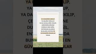 evet yapar #öneçıkar #sevkiyat #saz #cuma #ytdayibenionecikarnolur #sevgi #hayat #keşfet #hzali #am