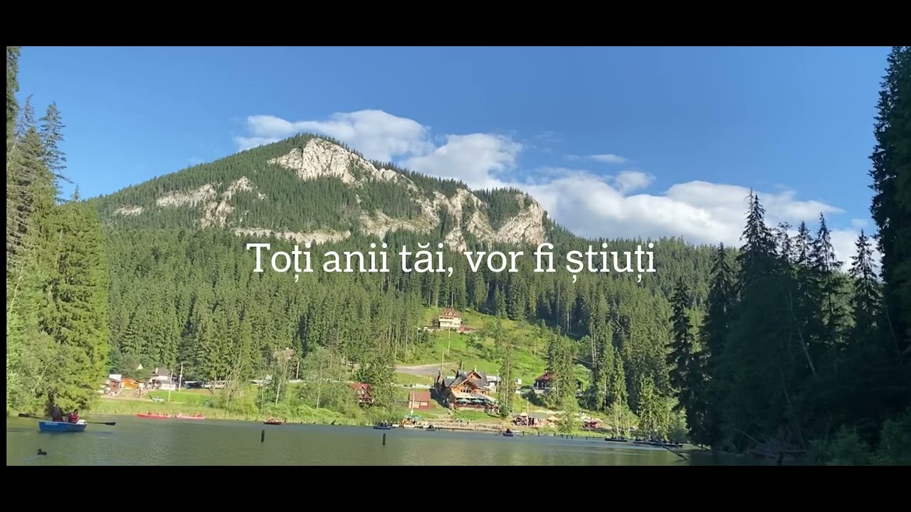 Onisim Grab / Se duc, se duc și anii tăi (Negativ)