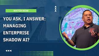 You Ask, I Answer: Managing Enterprise Shadow AI?