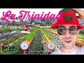 STRAWBERRY Capital of the PH! 🍓MUST SEE UPCLOSE walkthrough of planted FRESH VEGETABLES!!