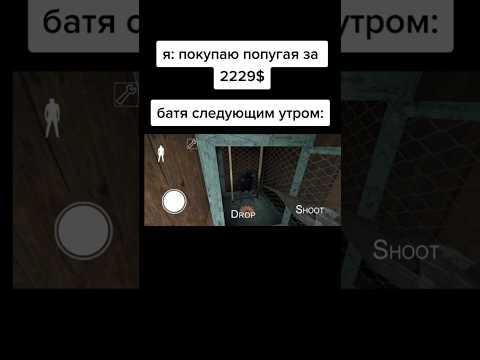 мемы приколы попугай гренни Granny