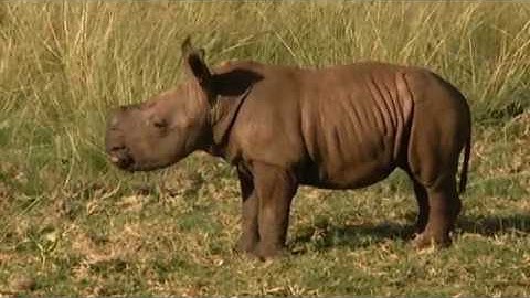 Cassiopeia Project - Complexity - 06 Complexity - Chapter 6