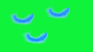 Feather Green Screen Video