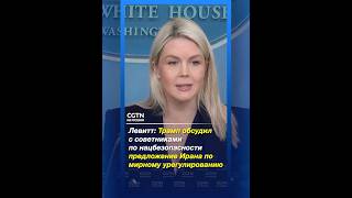 Левитт: Трамп обсудил с советниками по нацбезопасности предложение Ирана помирному урегулированию