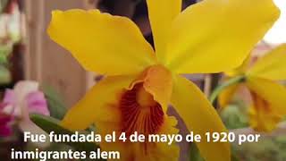 Montecarlo - Misiones