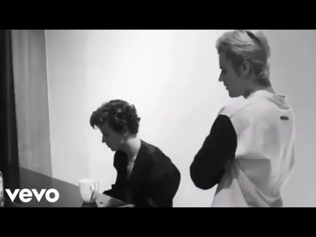 Justin Bieber & Shawn Mendes - Monster (Music Video)