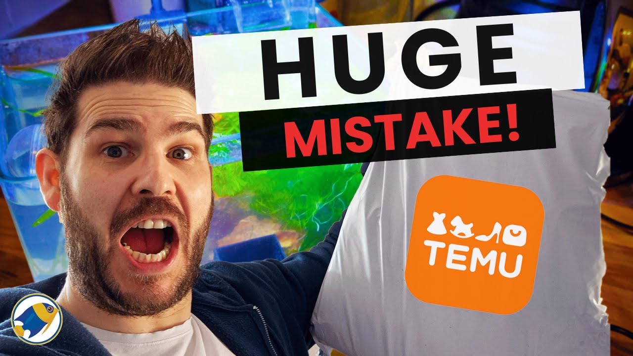 I Let Temu Build My Betta Aquarium... HUGE MISTAKE!