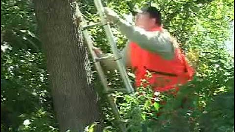 The Original Xtend+Climb Ladder