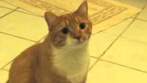 TESTING VIDEO, PLEASE IGNORE, THANKS