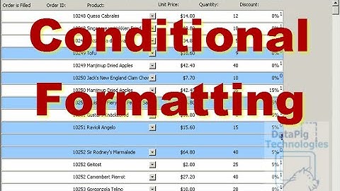 Conditional Formatting on an Access Form ~ DataPig