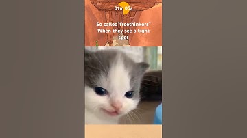 We add building mode to our game 💪🏻 #multiplayer #coop #steam #gaming #funny