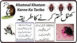 खटमल भगन क उपय और तरक Khatmal Khatam Karne Ka Tarika In Urduhindi.کھٹمل ختم ہوجائیں گے