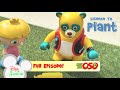 License To Plant Special Agent Oso S1 E1 Dyl Junior 