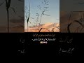 نہیں کرتے شریک تیرے خیال میں بھی کسی کو۔۔۔ہم تیرے خیال کا بھی اتنا خیال کرتے ہیں۔۔۔ #poetry #itshoor