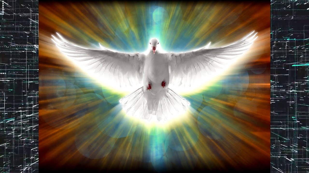 Св дух. Сошествие Святого духа голубь. Сошествие Святого духа икона голубь. Святой дух икона голубь. Пятидесятница голубь.