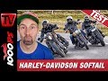 Harley Softail über Schweizer Pässe geprügelt - Test von Fat Bob 114,  FXDR 114, Street Bob