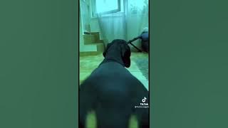 Bute pa sya magaling mag twerk😂😂 #shorts