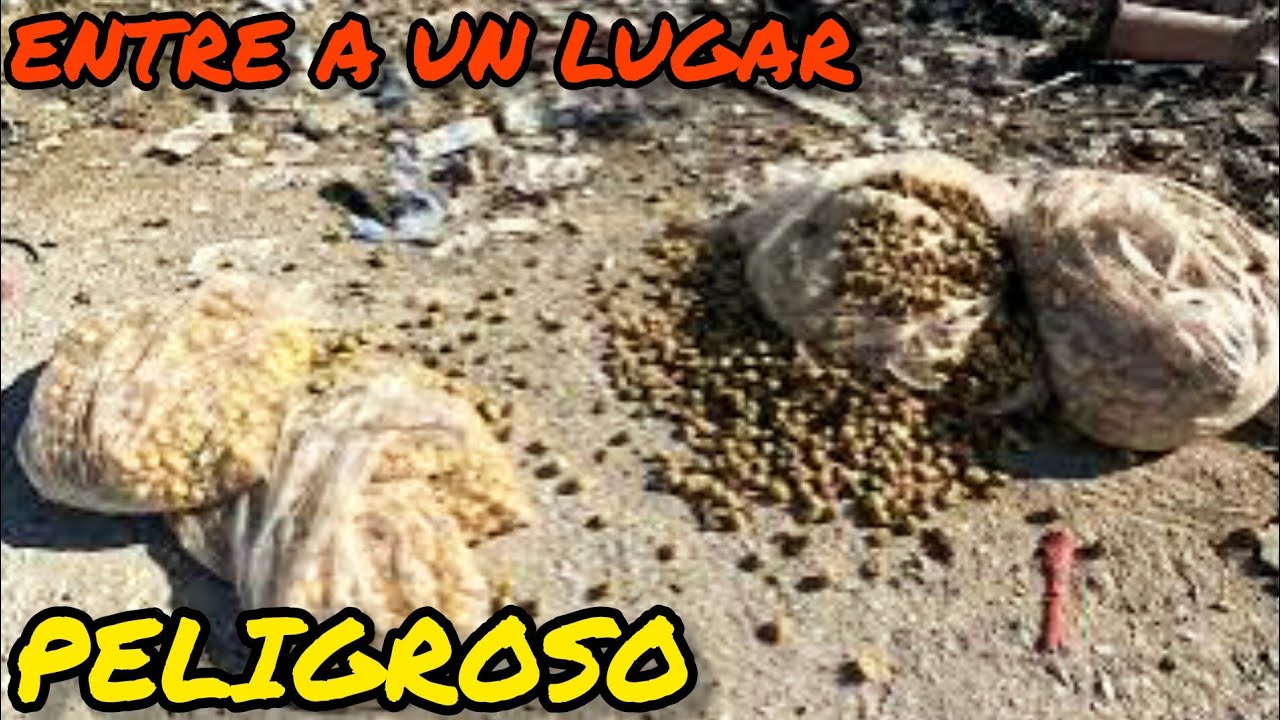 ENTRE A UN LUGAR DE BRECHAS PELIGROSAS  ¡¡ DONDE HACE MUCHOS AÑOS PASO ALGO !!