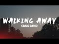 Walking Away Craig David Lyrics mp3