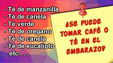 ¿Cuántas tazas de té hay que tomar al día al principio del embarazo?