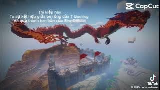 Tổng hợp tiktok mega smp 2025#2#otp#minecraft#mega#smp2025#tiktok