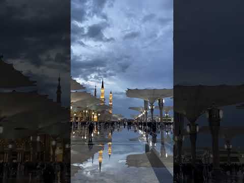 وسيق الذين اتقوا ربهم إلى الجنة زمرا الشيخ أحمد بن طالب حميد 