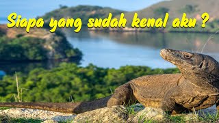 Mengenal Binatang KOMODO