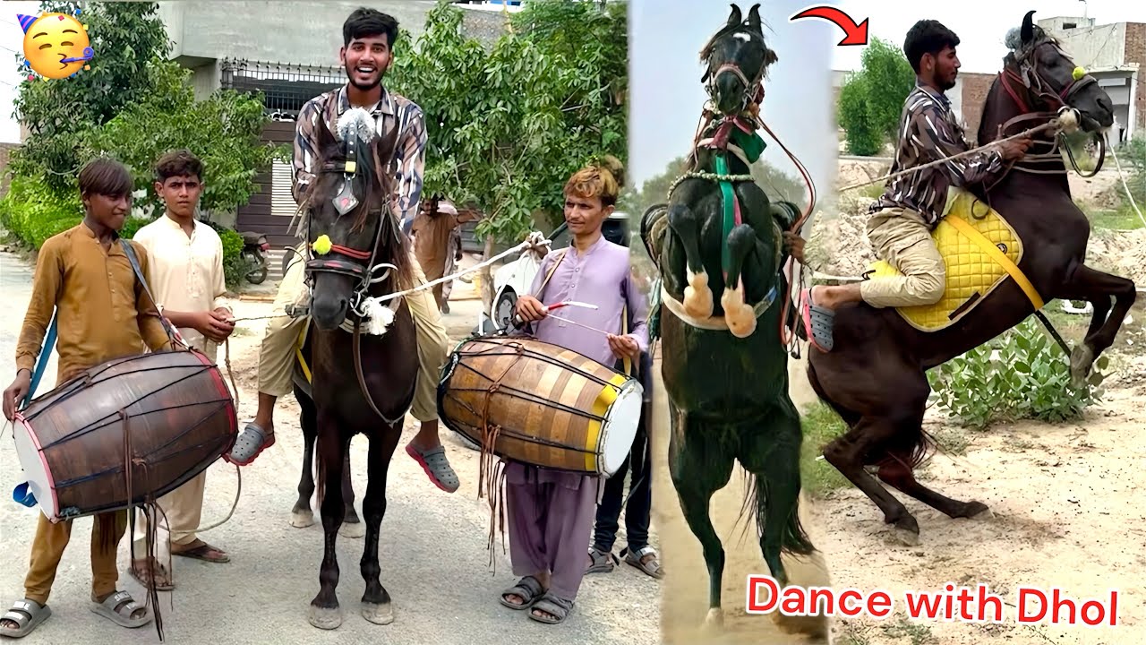 DHOL DEKH KR HORSE🐎 GUSSY MAIN AA GYA😱
