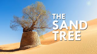 This Tree Thrives In The Desert