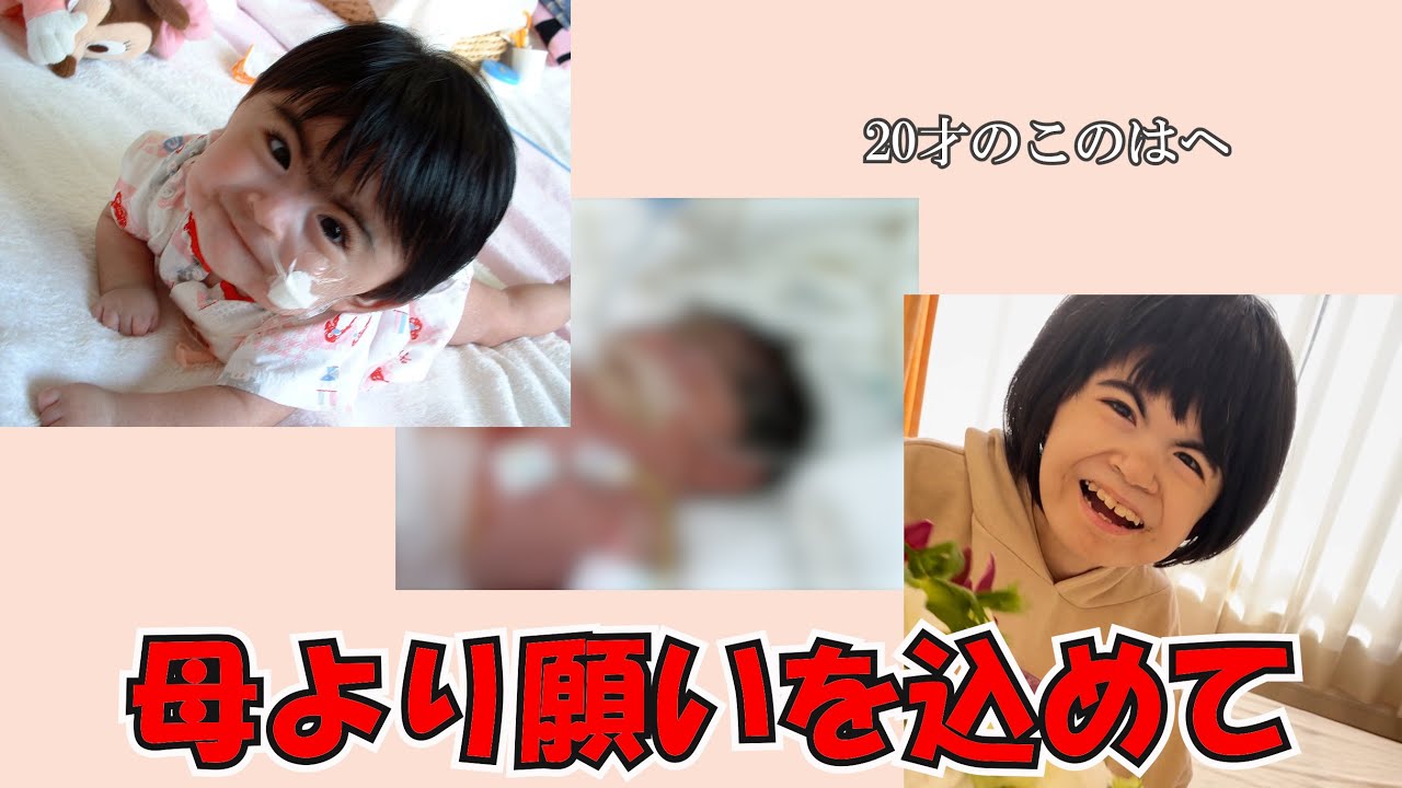 知的障がい20才このは　改めて20年を振り返りました