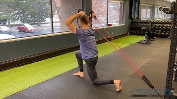 Half-Kneeling Overhead Tricep Extensions